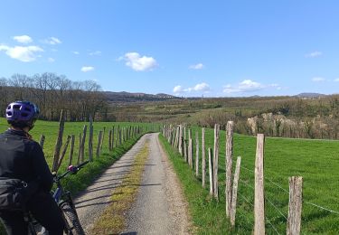 Trail Mountain bike Vinay - Vinay-Cognin-Izeron - Photo