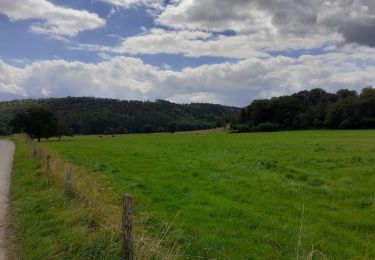 Randonnée Marche Rochefort - Han. Belvaux. Grifaloux - Photo