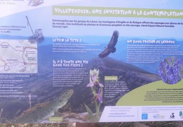 Trail Walking Villeperdrix - villeperdrix, terrasses de l'eygues  - Photo