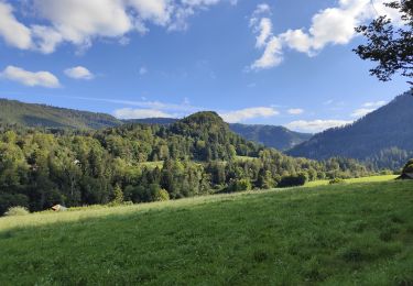 Tour Wandern Goumois - Circuit du barrage de la Goule - Photo