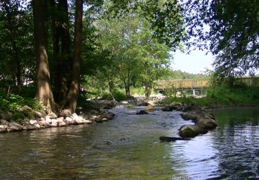 Tour Zu Fuß Plön - Plöner Seen - Photo