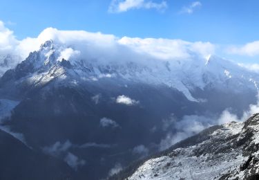 Tour Wandern Chamonix-Mont-Blanc - Le tour des Aiguilles Rouges : J3 - Photo