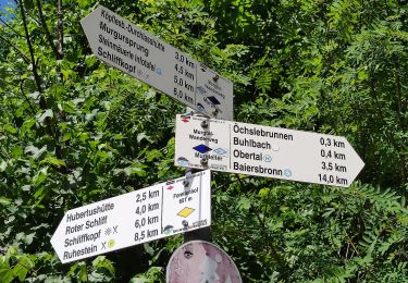 Trail On foot Baiersbronn - Schöner Platz-Hänger - Photo