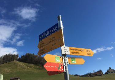 Tour Zu Fuß Gonten - Flucht - Hundwilerhöhe - Photo