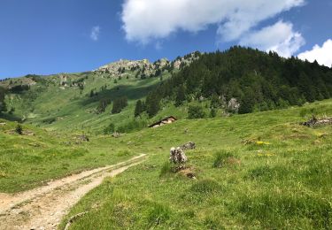 Tour Wandern Abondance - Tavaneuse  - Photo