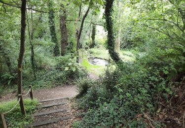 Trail Walking Ploeren - PR_56_Ploeren_AA_01_Circuit1b_Boucle-D-Assenac_20210714 - Photo