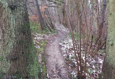 Tocht Trail Jemeppe-sur-Sambre - Boucle de l'Epicurienne - Photo