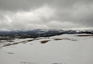 Percorso Racchette da neve Saint-Agnan-en-Vercors - raquettes Col du rousset - Photo