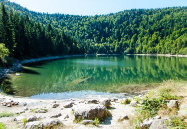 Randonnée V.T.T. La Bresse - La Bresse : CIRCUIT VTT N°14 - LE LAC DES CORBEAUX - Photo