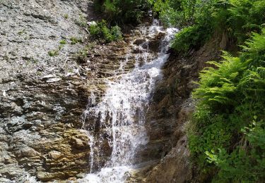 Trail Walking Untertauern - Ober - Photo