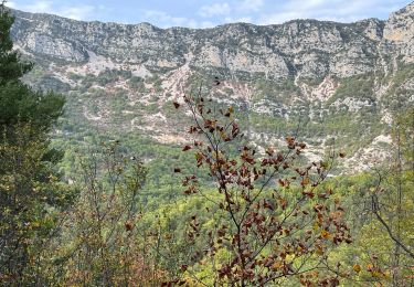 Trail Walking Roquestéron - Roquesteron : la cime de la Cacia - Photo