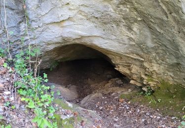 Randonnée Marche Plan-d'Aups-Sainte-Baume - Le Plan d'Aups la grotte de Castelette - Photo