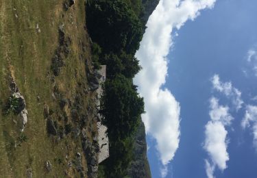 Tocht Stappen Le Valtin - Sentier des roches  - Photo