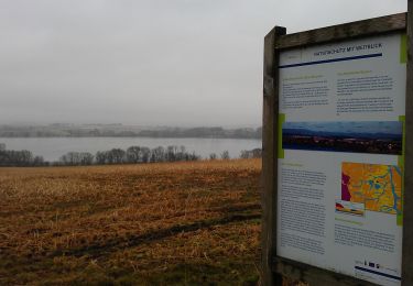 Tocht Te voet Seeburg - Höhen-Rundweg Seeburger See - Photo