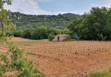 Randonnée Marche Montclus - Monclus-Boucle de Cèze - Photo