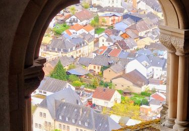 Tour Wandern Vianden - Itinérant Luxembourg Jour 6 : Boucle autour de Vianden - Photo