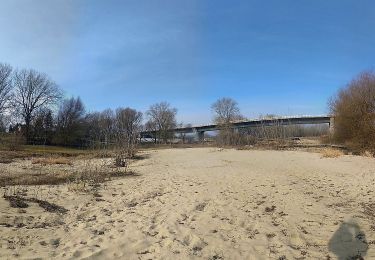 Tocht Te voet Kolonia Nadwiślańska - Solec nad Wisłą - Józefów - Photo