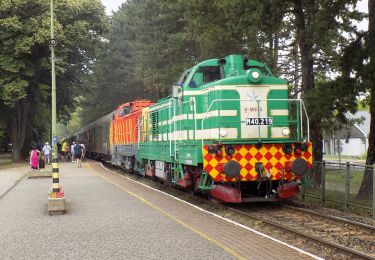 Percorso A piedi Badacsonytomaj - K▲ (Kisfaludy-kilátó) - Photo