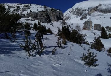 Excursión Esquí de fondo Le Dévoluy - Le Nid - Photo