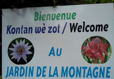 Tour Wandern Le Vauclin - PETITE BOUCLE DU JARDIN DE MONTAGNE - Photo