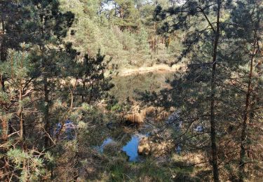 Trail Walking Fontainebleau - aaa - Photo