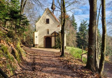 Tour Wandern Ottersthal - Saverne - chapelles Ste Barbe et St Michel - château Warthenberg - Photo