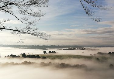 Trail Walking Esneux - Chez moi - Photo