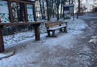 Randonnée Marche Spa - Berinszenne 10 KM - Photo