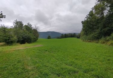 Tocht Stappen Le Frasnois - balade des cascades du Hérisson  - Photo