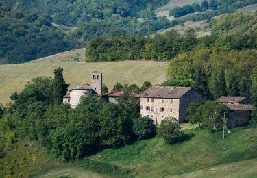 Tocht Te voet Casina - Bergogno - Mulino del Votigno - Casola Canossa - Photo