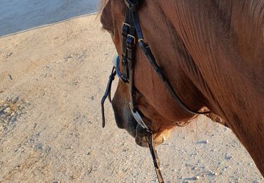 Trail Horseback riding Rozerotte - promenade 1 rozerotte - Photo