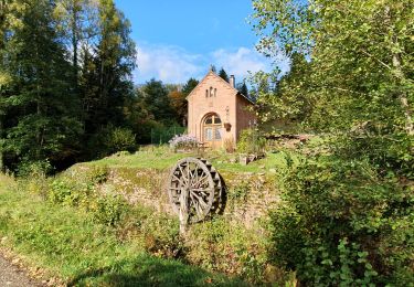 Randonnée Marche Oberhaslach - mutzig rocher - Photo