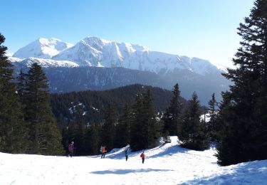 Tocht Sneeuwschoenen Vaulnaveys-le-Haut - Lac Achard, Col de l'Infernet, col de la Botte et Croix de Chamrousse en circuit - Photo