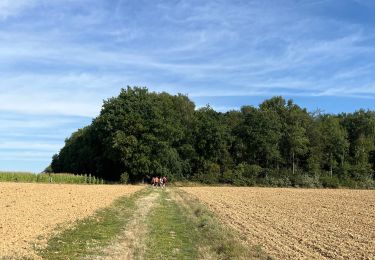 Trail Walking Ouffet - Ellemelle - Photo