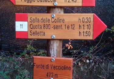 Tour Zu Fuß Vaglia - Sentiero CAI 12 - Sez. Sesto Fiorentino - Photo