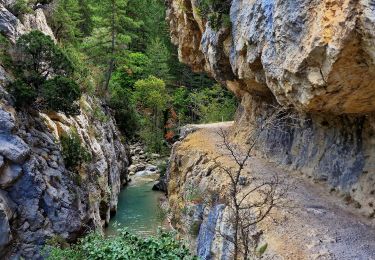 Tour Wandern Estoublon - Gorges de Trévans - Photo