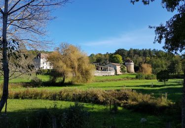 Randonnée Marche Jaure - Petite Boucle Chateau de Jaure  - Photo