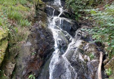 Trail Walking Mauriac - le trou du loup - Photo