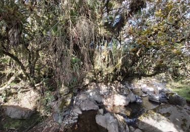 Trail Walking Machachi - Río de Secret Garden - Photo