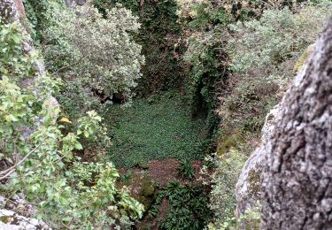 Excursión Senderismo Le Beausset - abime maralouye - Photo