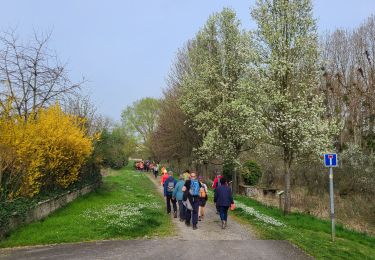 Trail Walking Bourg-et-Comin - Bourg et Comin après-midi du 21-03-2024 - Photo