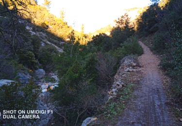 Trail Walking Auriol - Encanaux - Photo