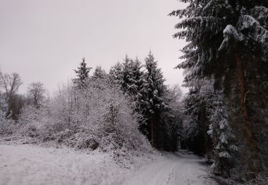Trail Walking Arches - hiver janvier 2021 - Photo