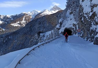 Excursión Esquí de fondo Névache - 30-12-20 Col de l'échelle - Photo