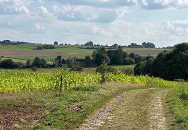 Tocht Stappen Assesse - Sart Bernard 22,6 km - Photo