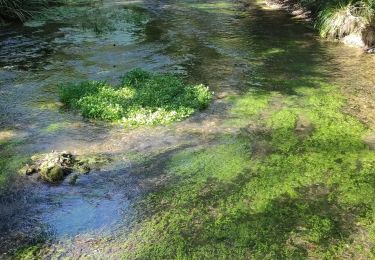 Tocht Stappen Neuville-sur-Vanne - Neuville sur Vannes  - Photo