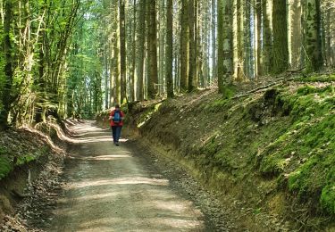 Trail Walking Matour - RA Matour Grande Roche - Photo