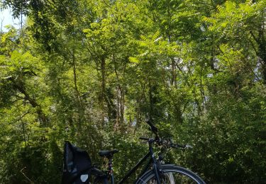 Tocht Wegfiets Villeurbanne - velo Miribel  - Photo