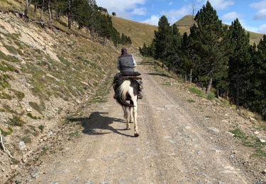 Trail Horseback riding Torla-Ordesa - Parc national d’Ordessa J2 - Photo