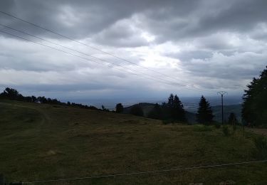 Randonnée Marche Bourbach-le-Haut - Le sentier géologique du Rossberg - Photo